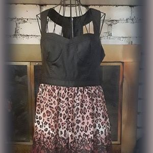 Leapord/Leather Dress